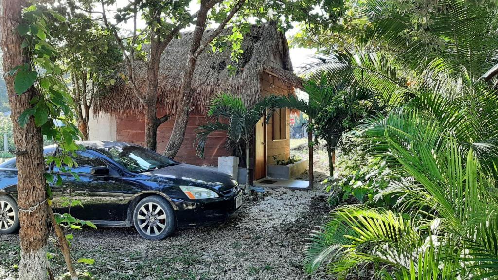 Cabanas chaac calakmul photo 3