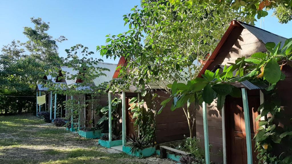 Cabanas chaac calakmul photo 2