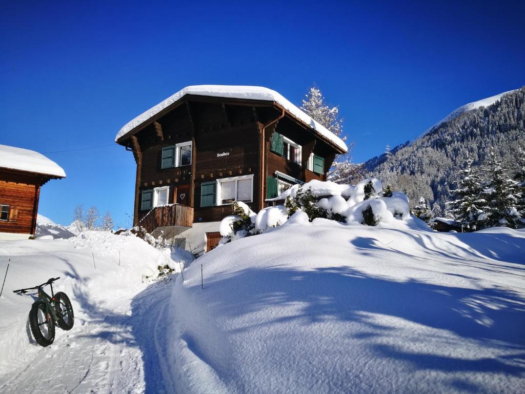 Chalet Bosbes photo 1