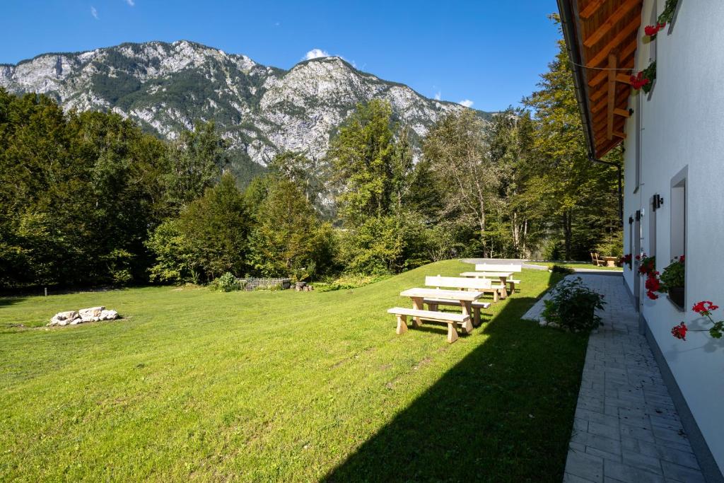 Bohinj Apartments Goldhorn Kingdom photo 1