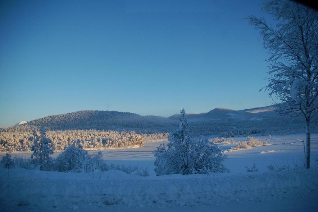 Soltun Soldatheim & Ungdomssenter photo 3