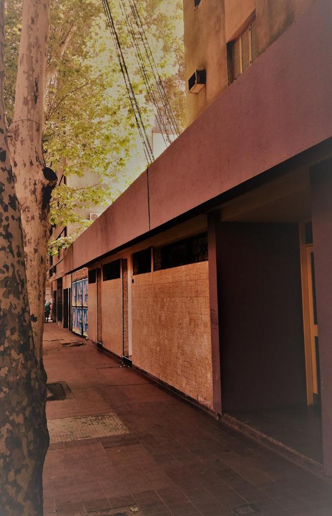 Tu Lugar en Mendoza ! photo 1
