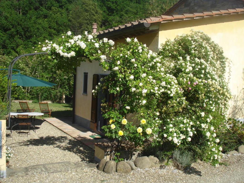 Il Cielo Bio - Il più piccolo B&B del Chianti photo 3