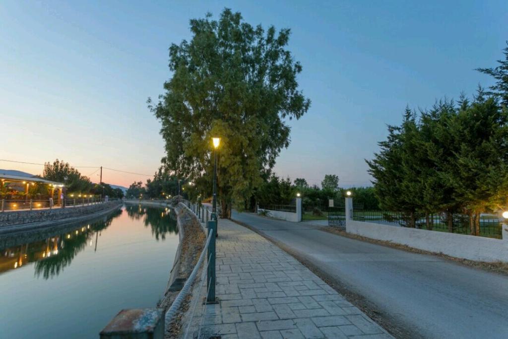 Eleni Studios & Apartments photo 4