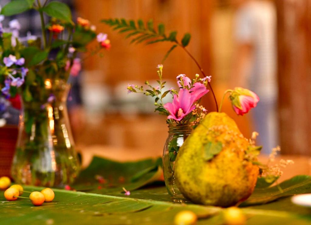 Nirvana Organic Farm Inn photo 4