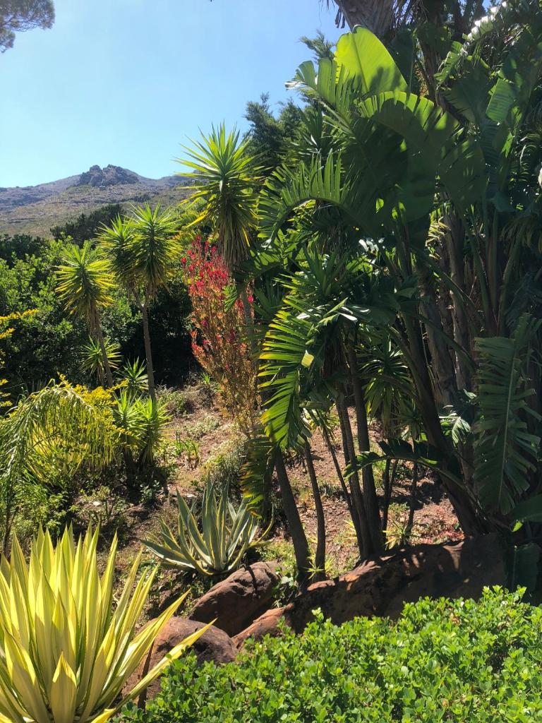 Villa Tivoli Hout Bay photo 4