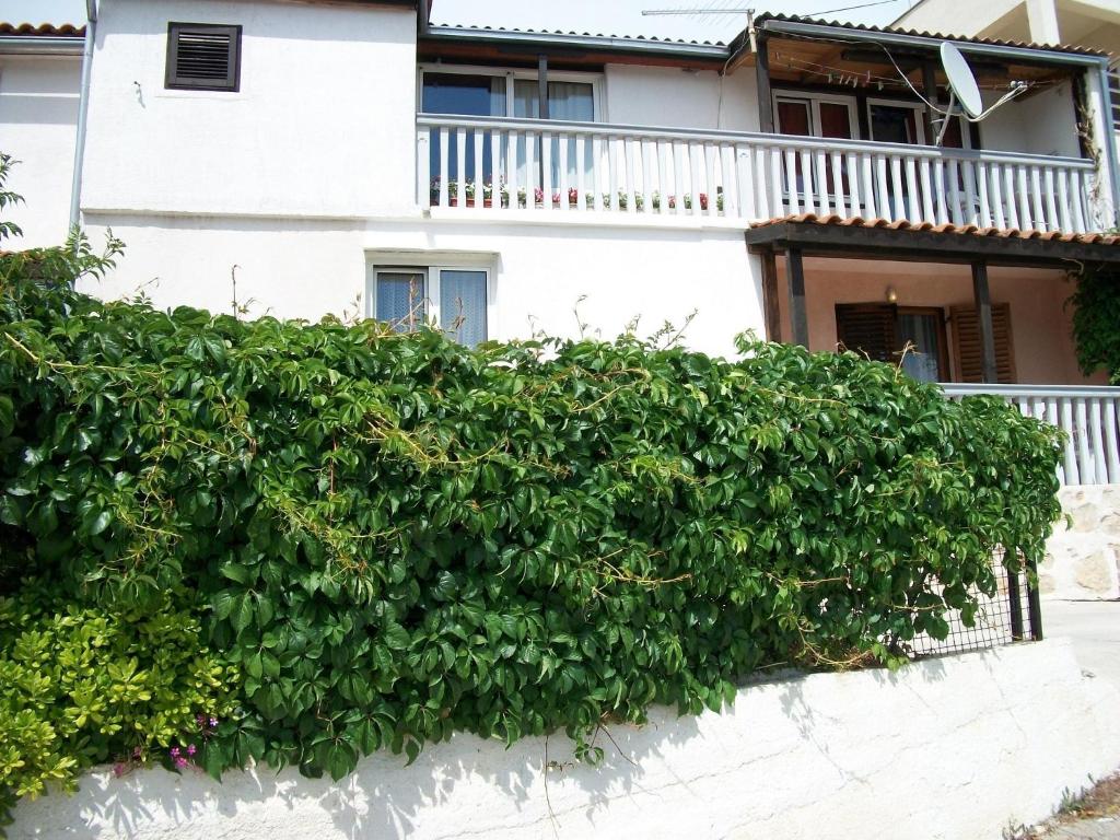 Apartments Luka photo 1