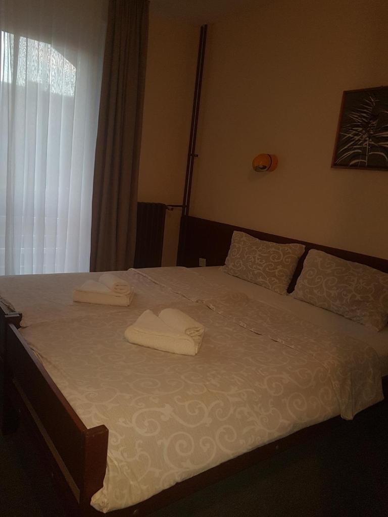 Hotel Sax Balkan photo 4