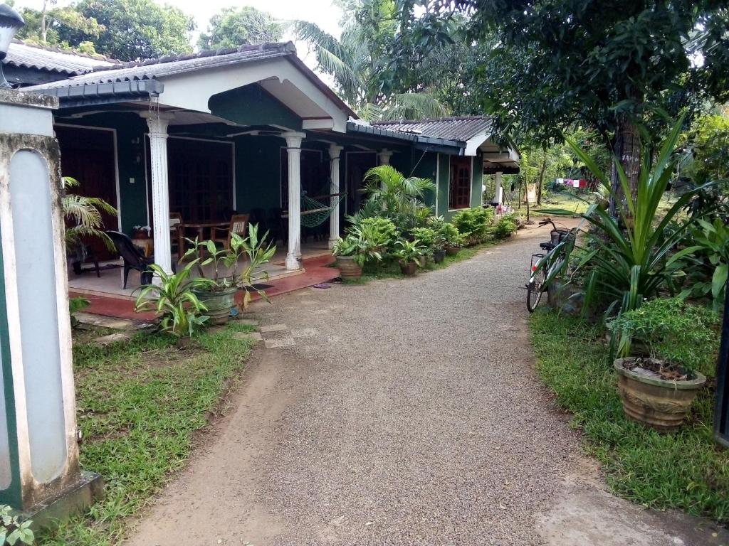 Elephant safari Lodge