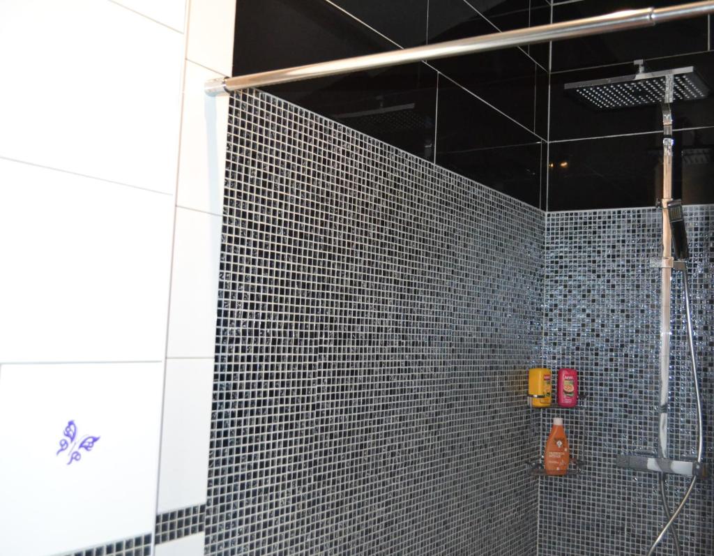 SUITE 30 m2 IDEALE POUR 2 PERSONNES photo 3
