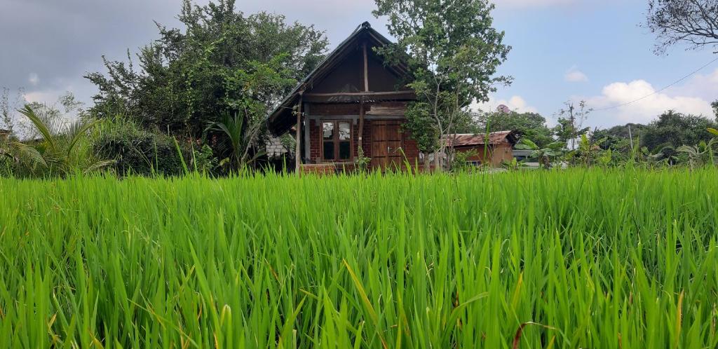 Habarana Farm Cottage photo 2
