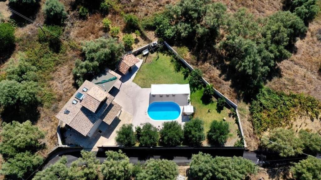 Stavlos photo 1