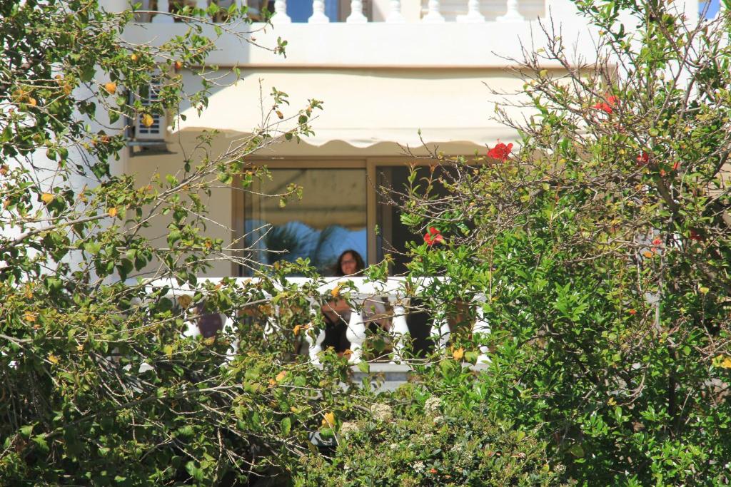 Irene Villa photo 4