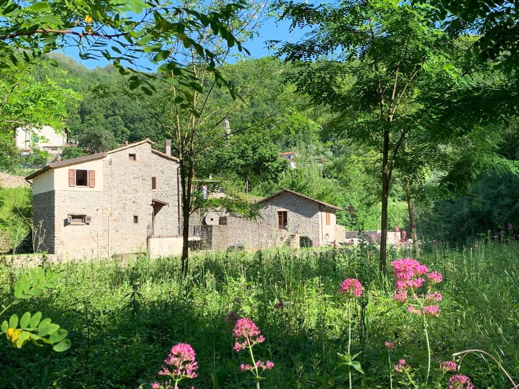 Magic Mill Castagnetoli photo 2