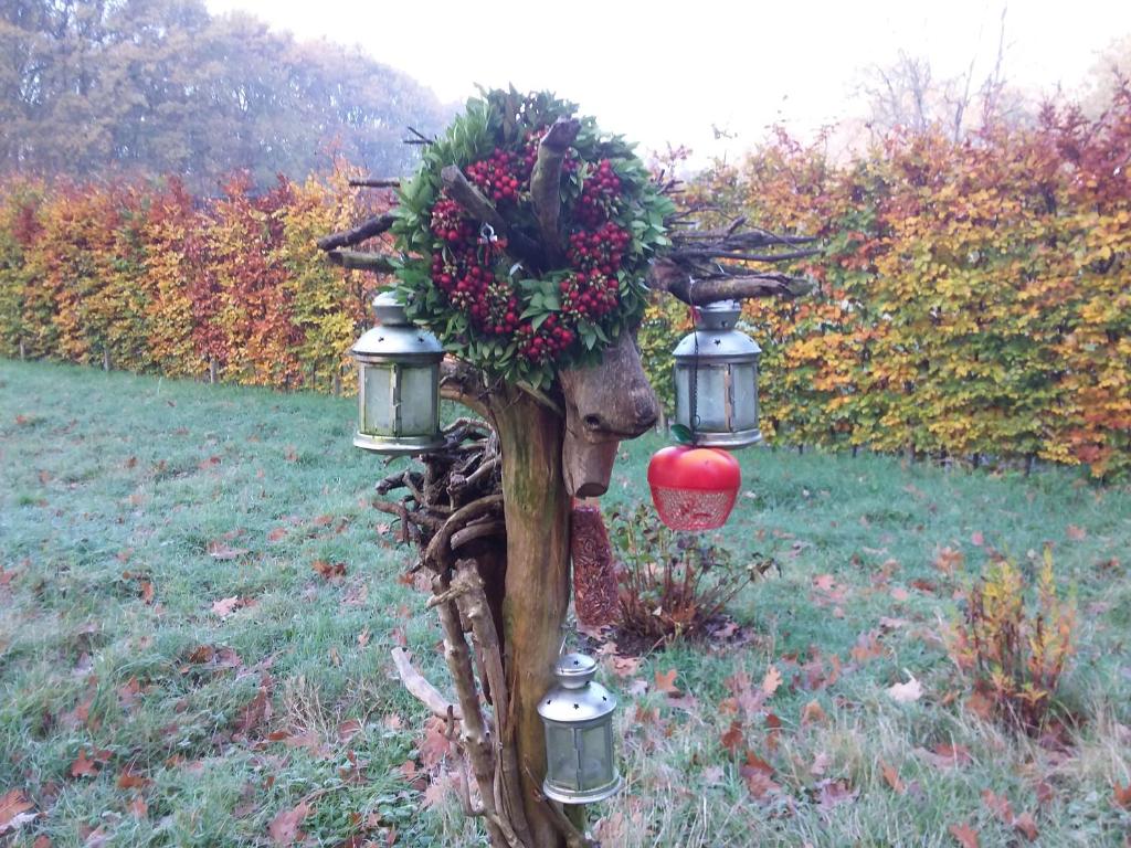 Regina Vught photo 4