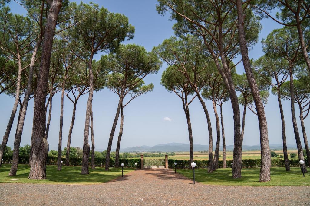 Borgo Bernabei photo 4