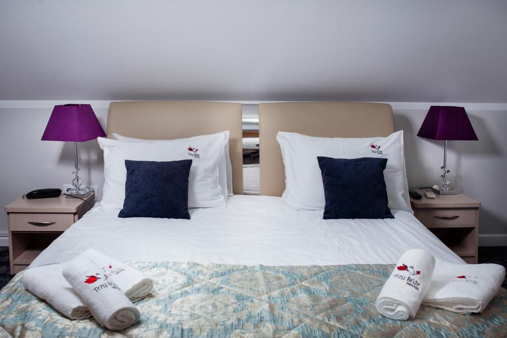 Студио (Номер-студио Делюкс с кроватью размера «king-size»), Hotel Trzy Róże