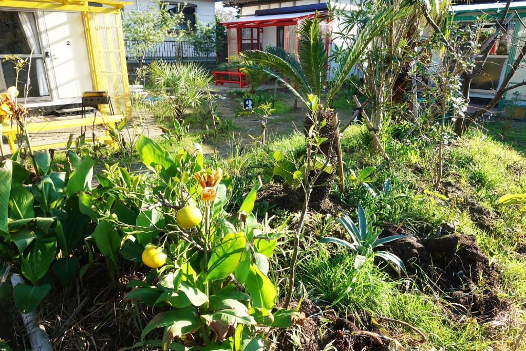 HAWAIIAN COTTAGE VILLA SHIRAKO photo 4