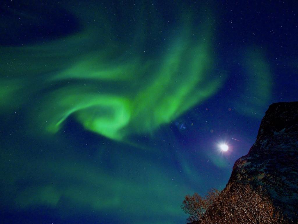 Midnight Sun Paradise Lofoten photo 1