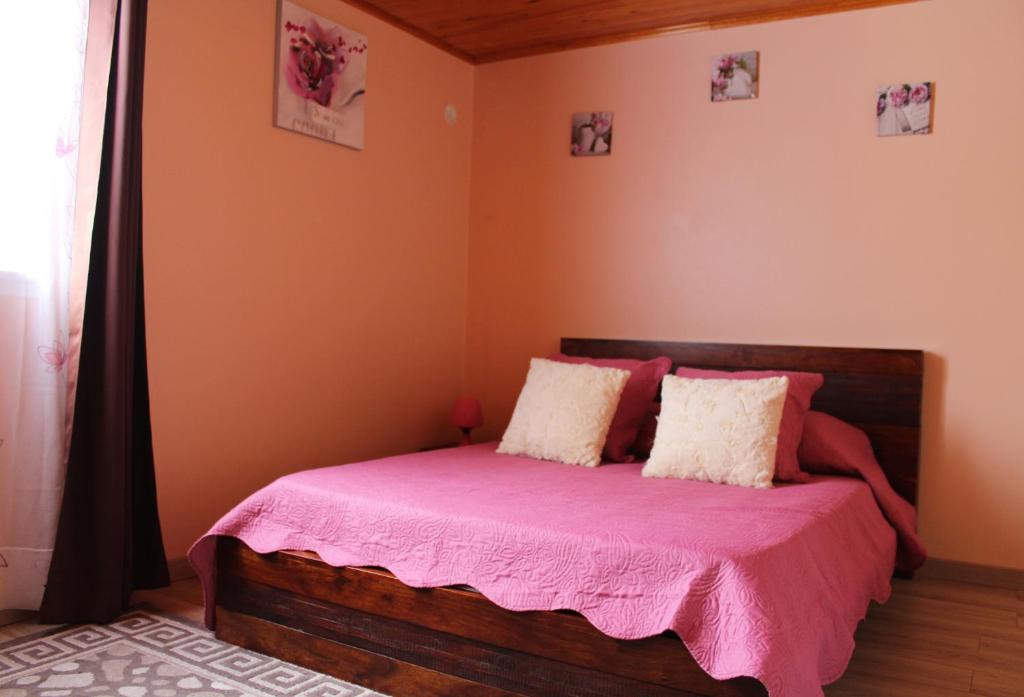 CASAMELIAS "Le ficus" photo 3