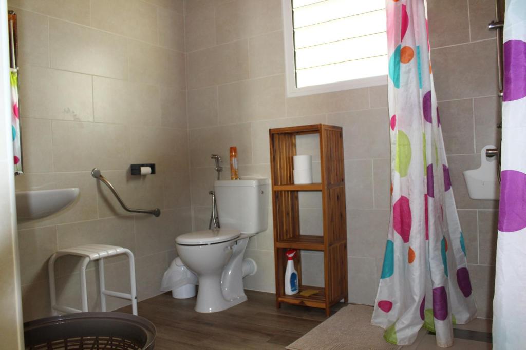 CASAMELIAS "Le ficus" photo 2