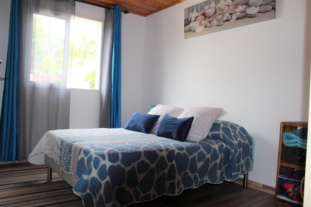 CASAMELIAS "Le ficus" photo 1