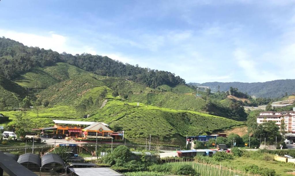 Cameron Highlands Modern7-Tea Plantation View-Premium Hotel Bed photo 2