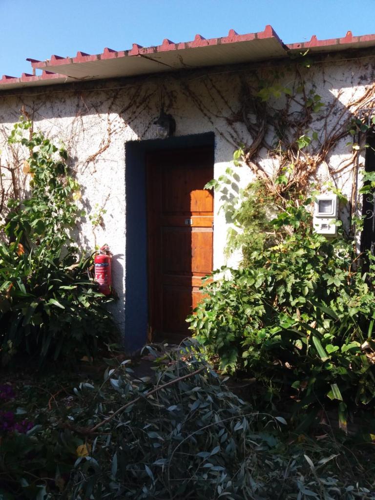 Tasos Cottages photo 1