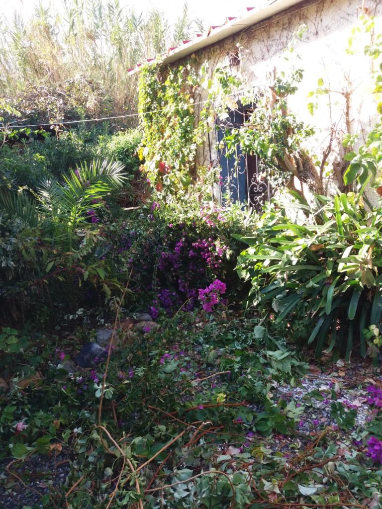 Tasos Cottages photo 2