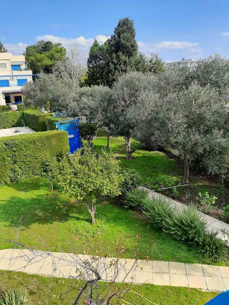 2 bedroom apartment-Mediterranean type photo 3