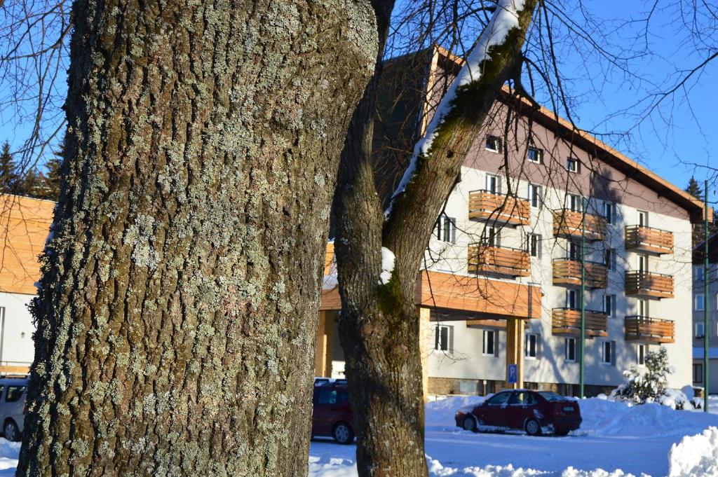 Hotel Srní depandance - Šumava photo 2