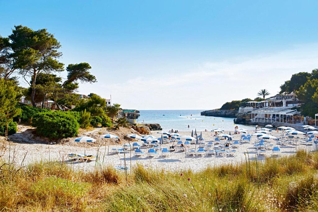 Globales Cala Blanca photo 4