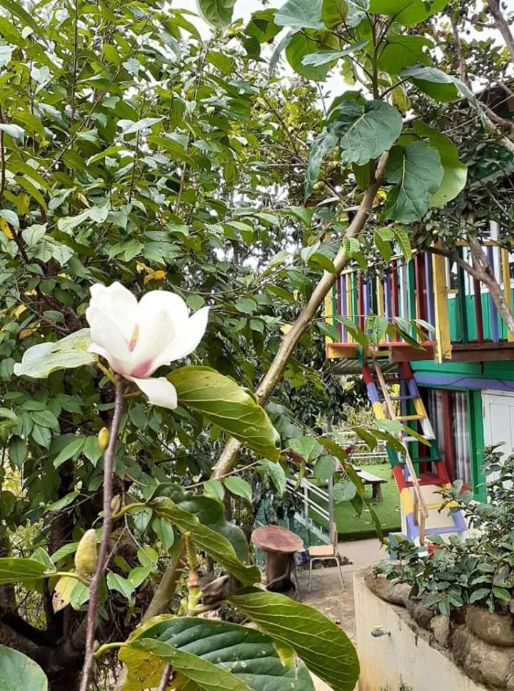 Homestay Da Blah