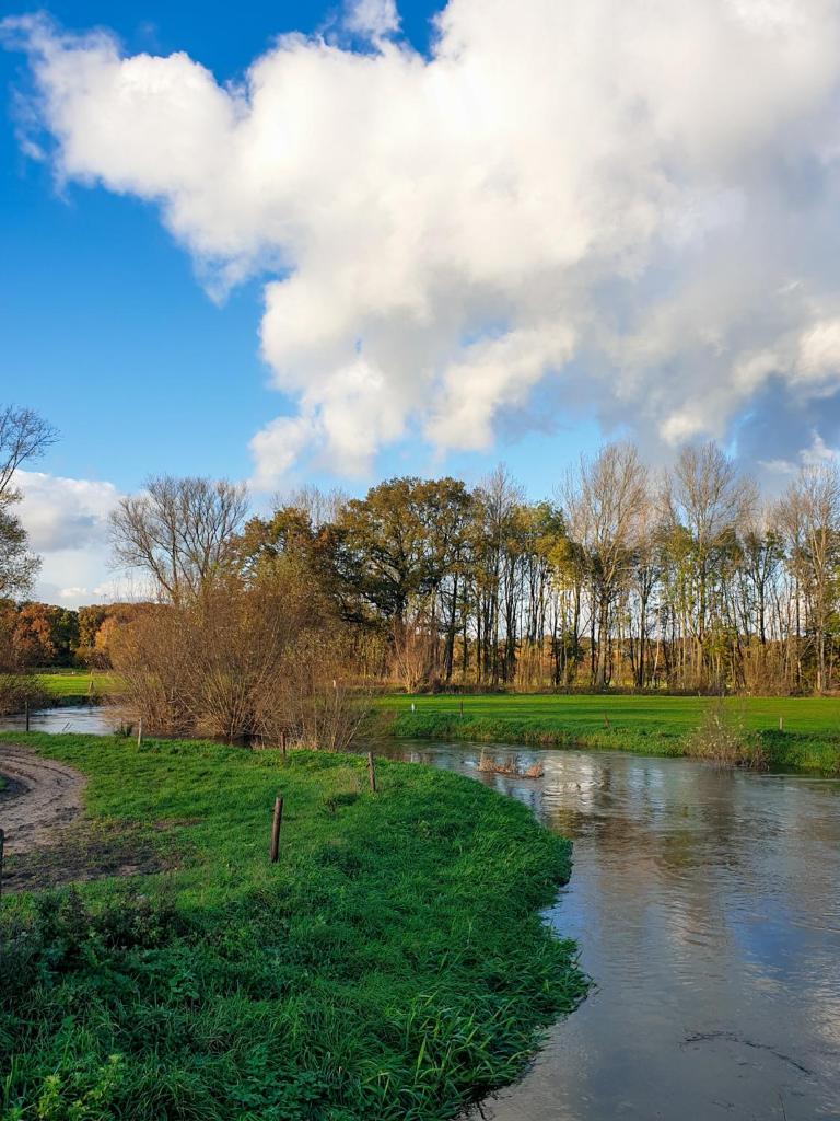 Erve iemhorst photo 3