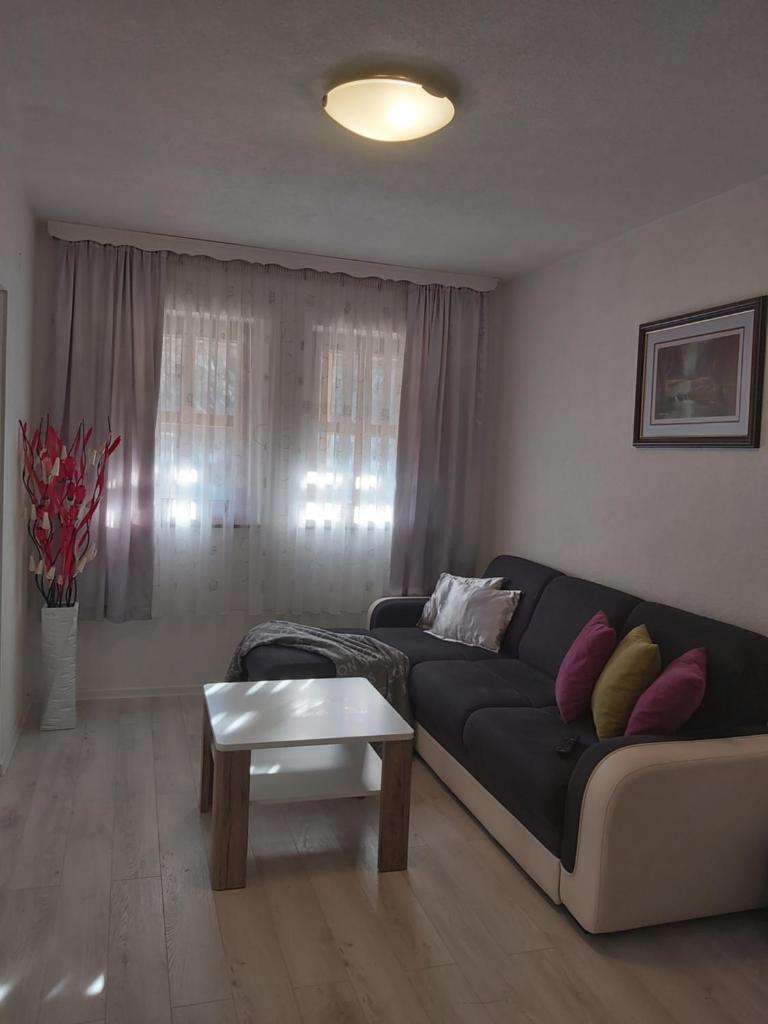 Apartment Mira photo 2