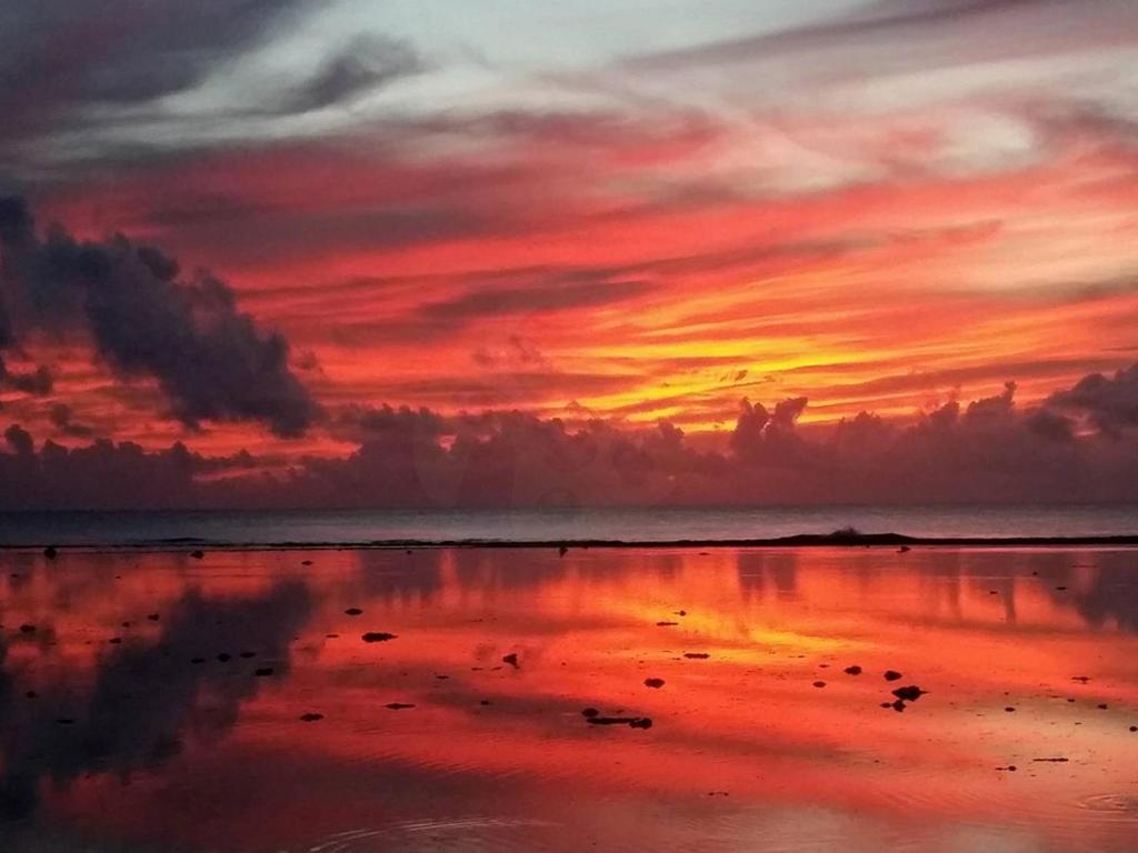 Sunset Palms Rarotonga photo 1