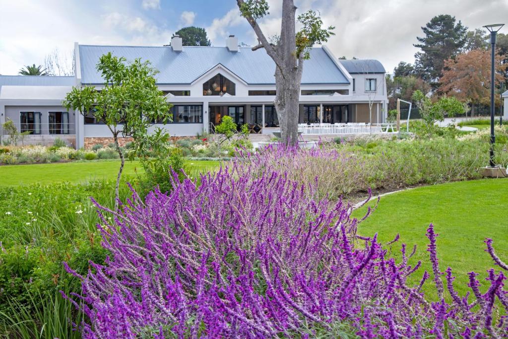 Knysna Hollow Country Estate photo 4