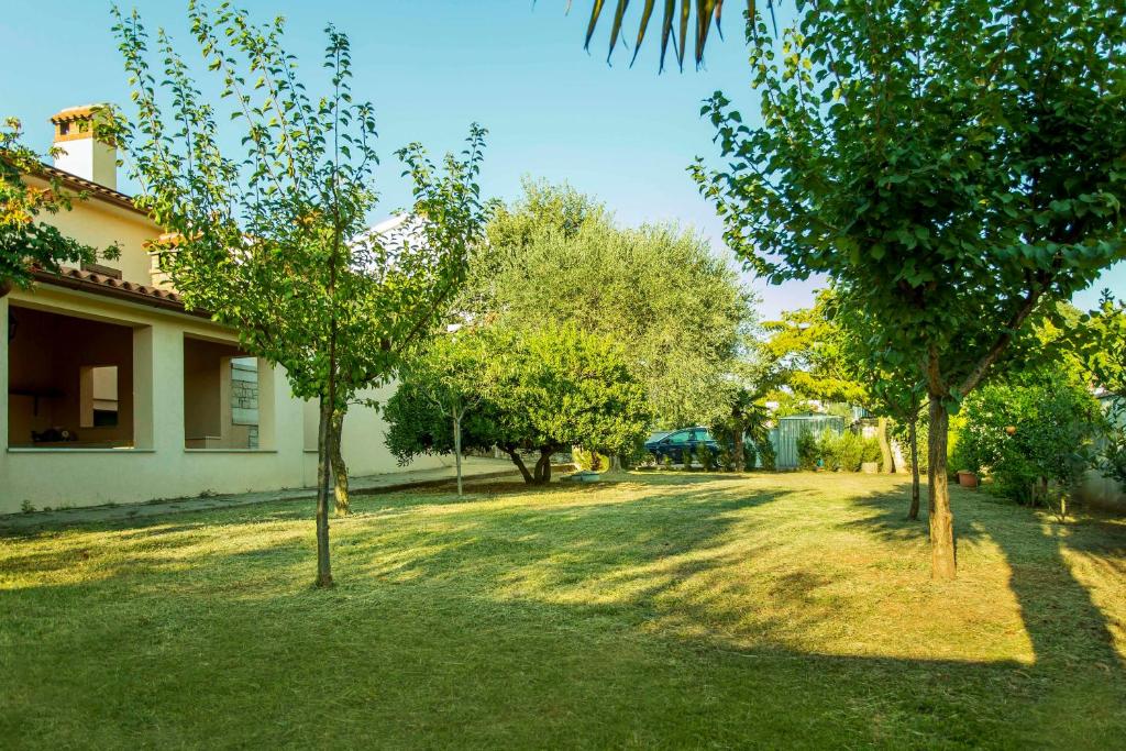 Holiday House Alex photo 3