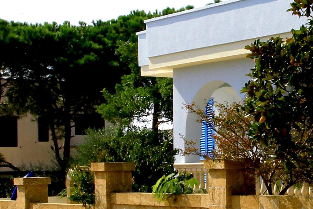 Villa Carolina photo 2
