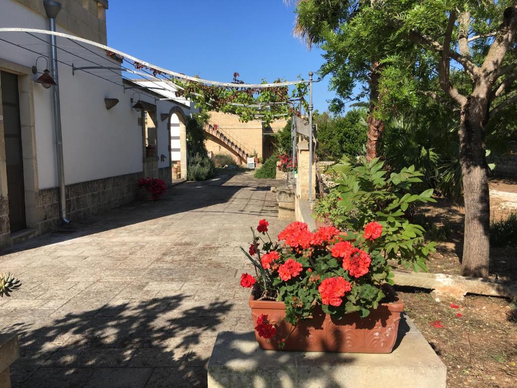 Corte dei Salentini photo 4