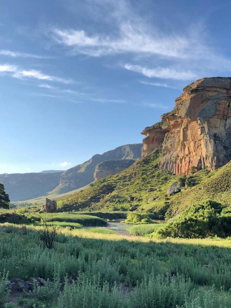 Clarens place Paddocks 19 photo 3