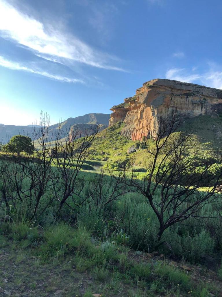 Clarens place Paddocks 19 photo 4