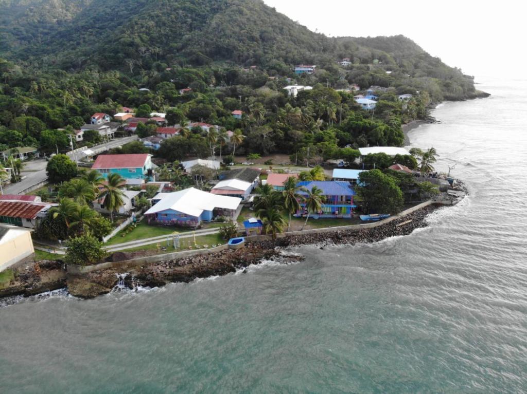Posada Ocean View photo 3