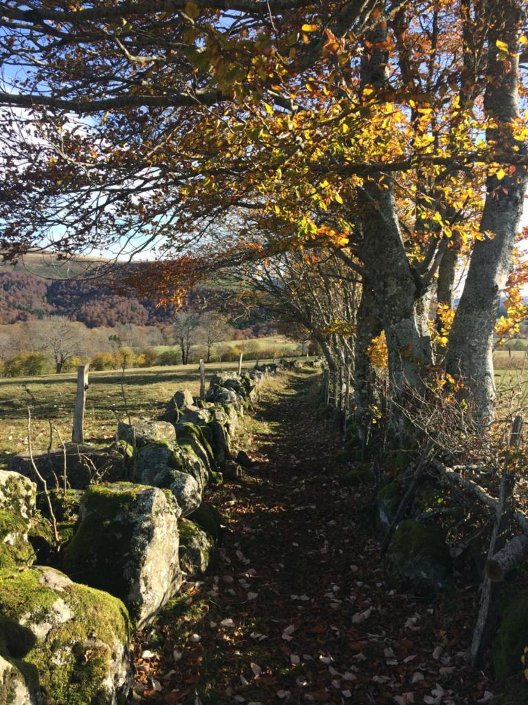 Terre d'Horizon Auvergne photo 3