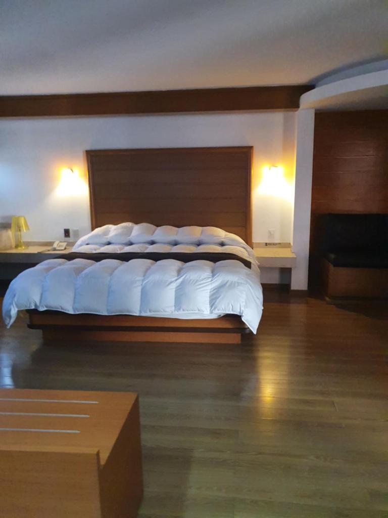 Двухместный (Номер с кроватью размера «king-size»), Hotel Contadero Suites y Villas
