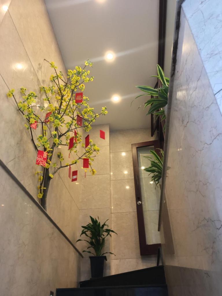 Khách Sạn Paradise Đà Nẵng