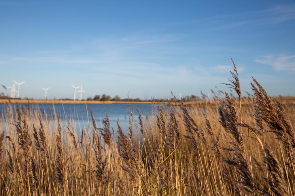 Dänisches Blockhaus direkt am Wangermeer photo 2