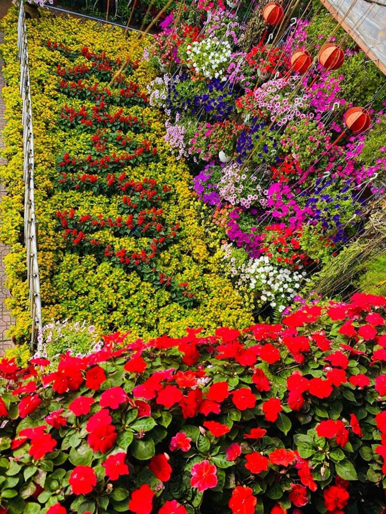 Khamy Riverside Resort