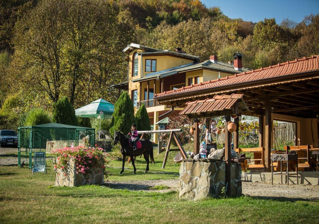 Guest House Alfa Daniel photo 1
