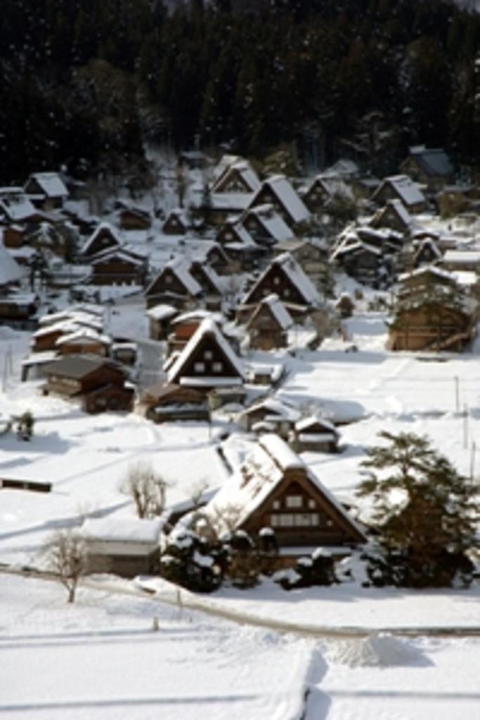 Gokayama Onsen Akaokan photo 3